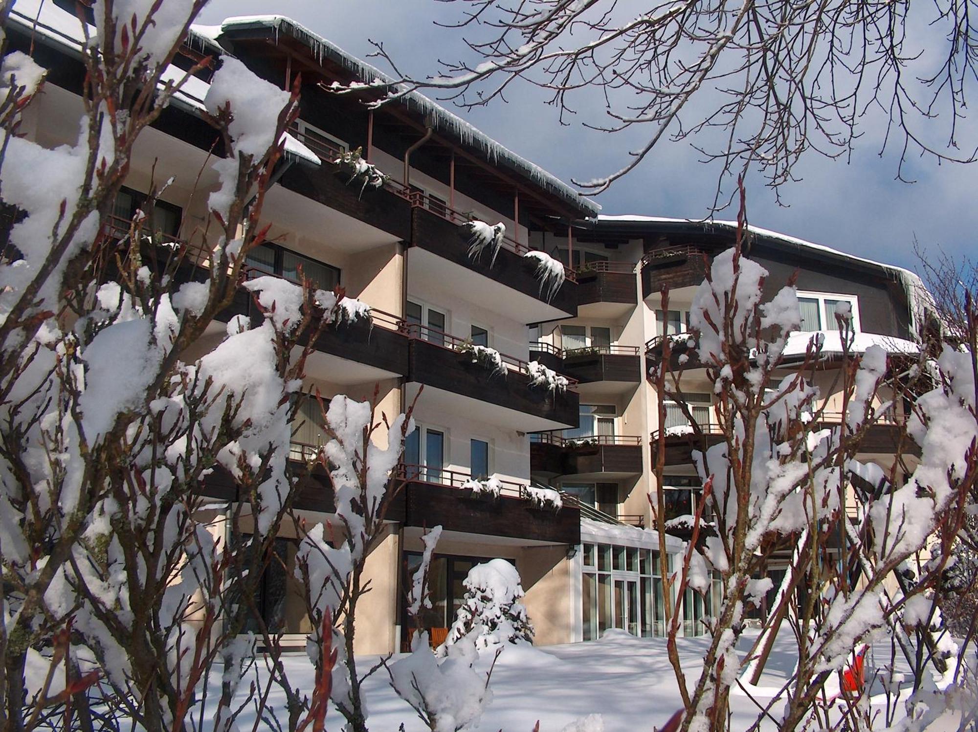 Landhotel Henkenhof Willingen Willingen  Exteriér fotografie