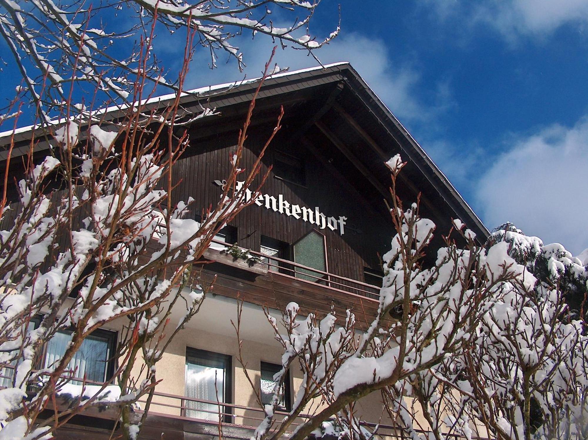 Landhotel Henkenhof Willingen Willingen  Exteriér fotografie